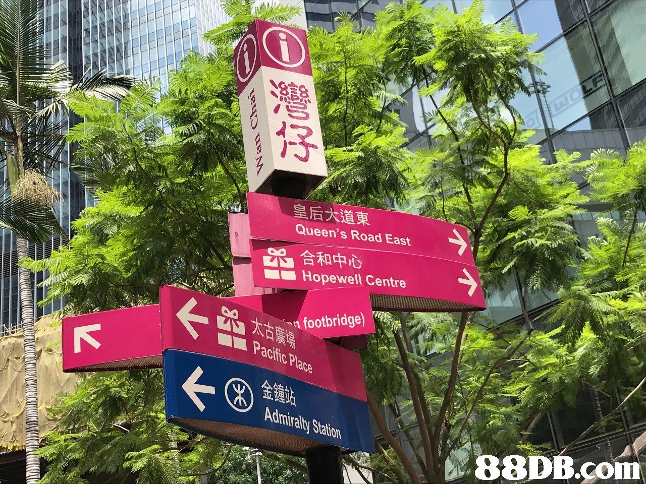 皇后大道東 Queen's Road East 881合和中心 Hopewell Centre 古廣 footbridge) Pacific Place ifi 金鐘站 Admiralty Station   plant,tree,flora,signage,street sign