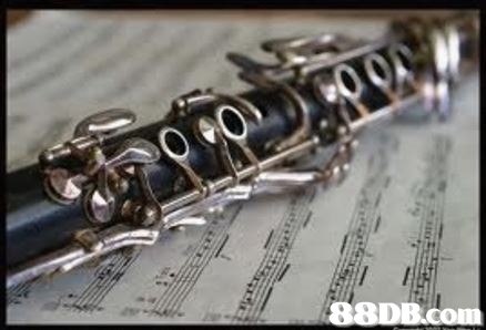  musical instrument,wind instrument,woodwind instrument,clarinet,clarinet family